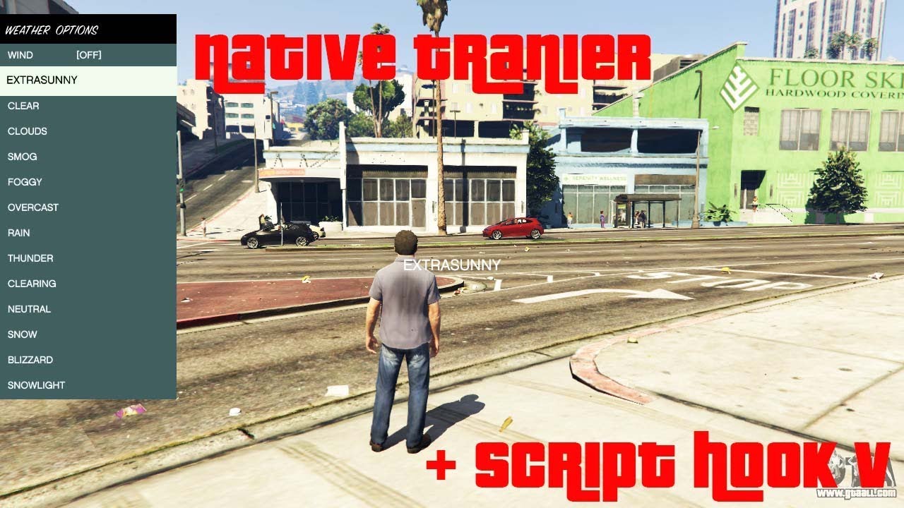 script hook v gta 5