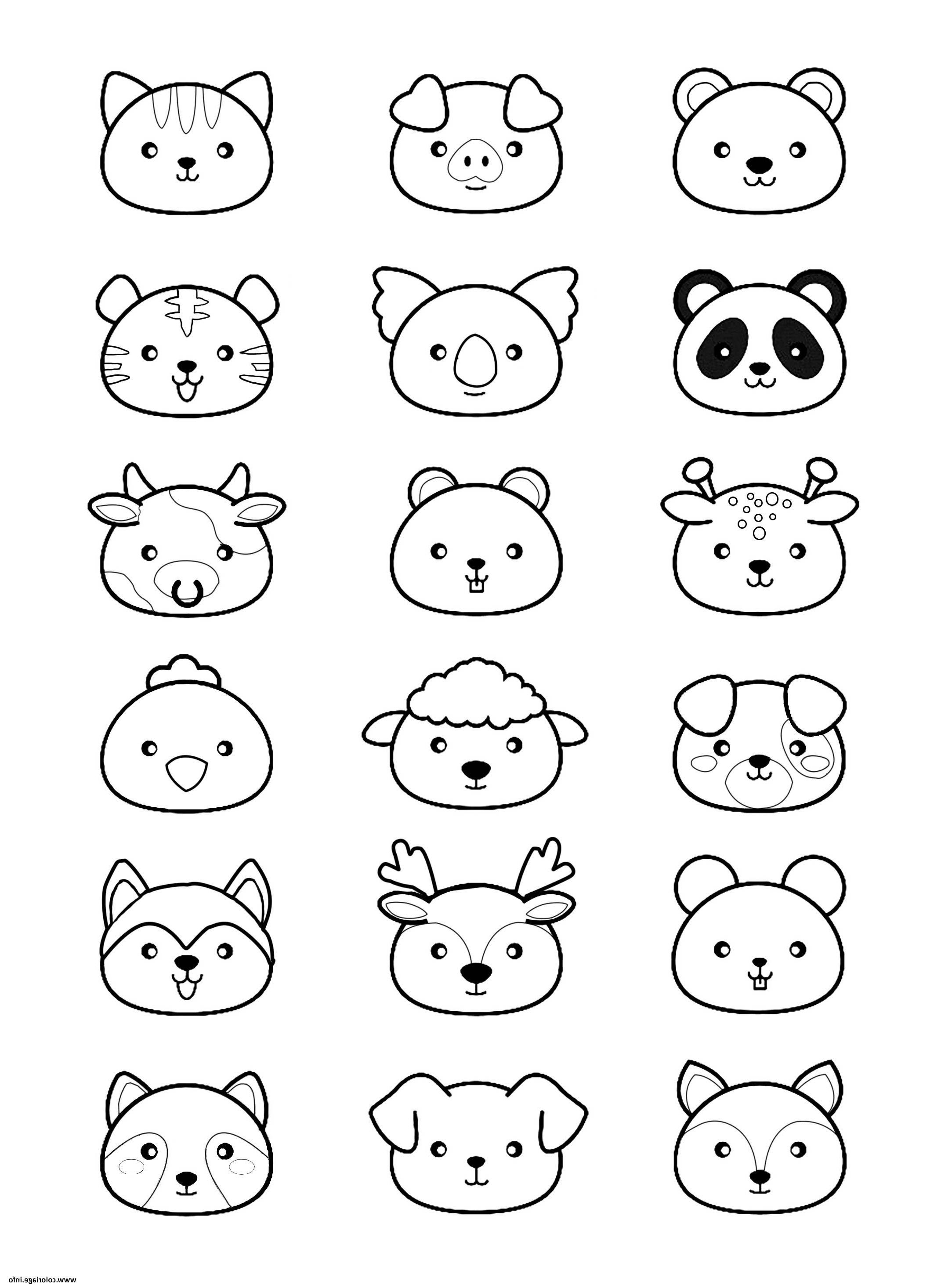 coloriage animal kawaii