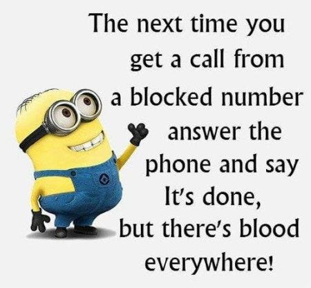 minion funnies