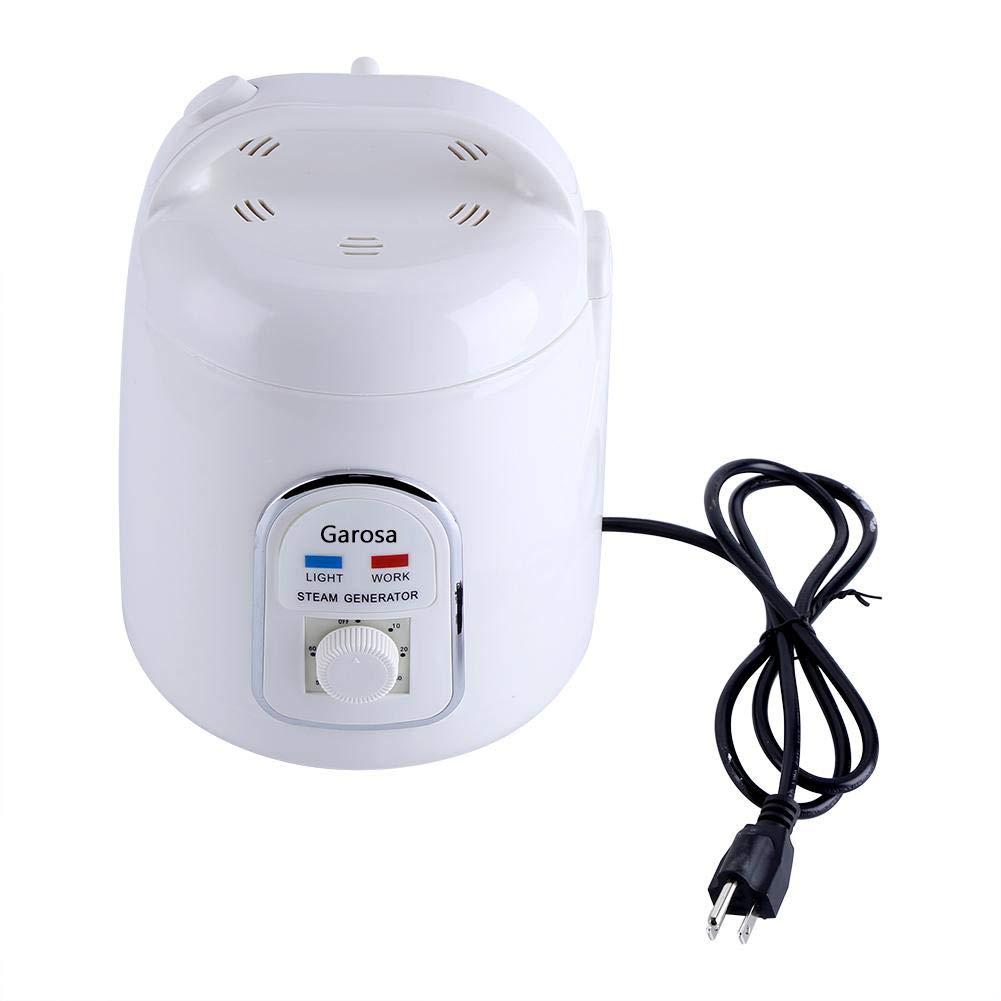 portable steam generator for sauna