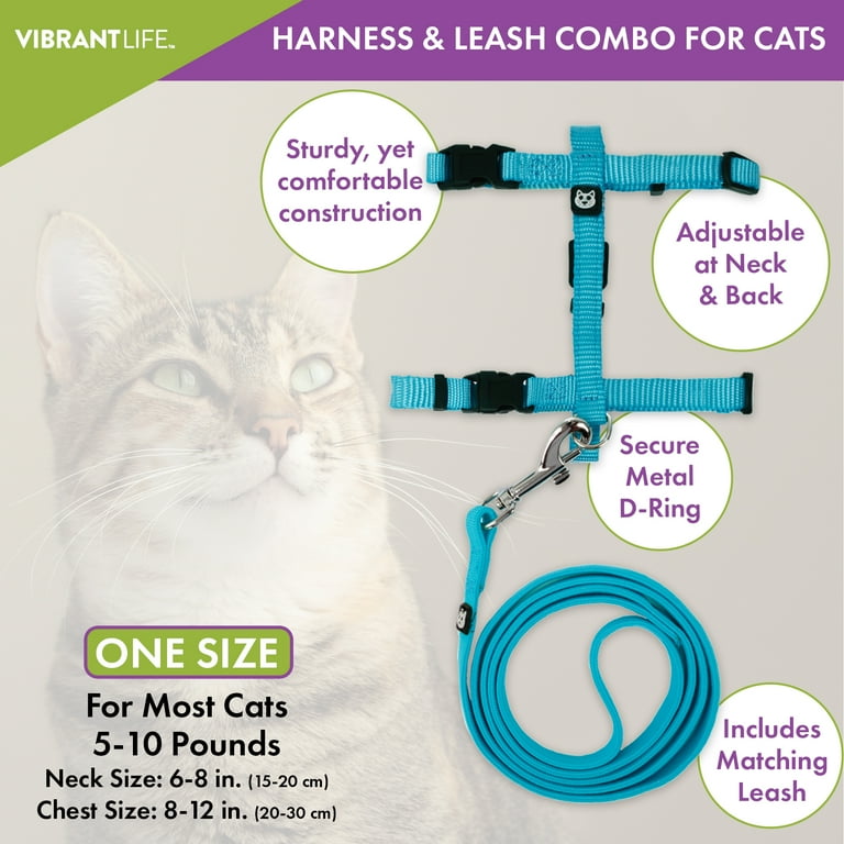 cat leash walmart