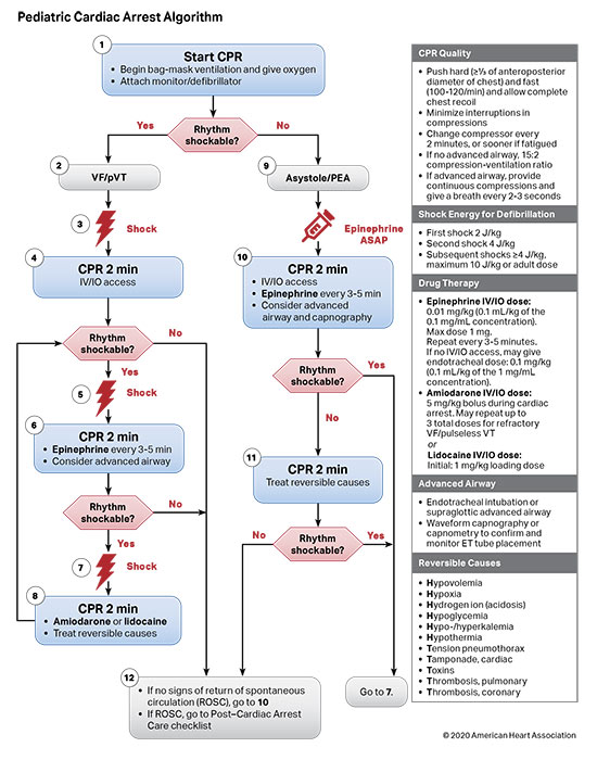 acls algorithm