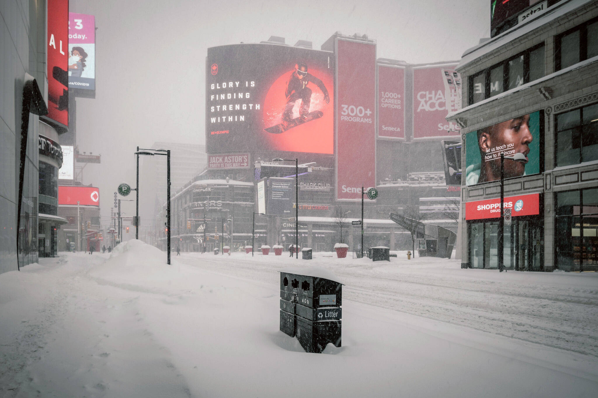 toronto temperature january