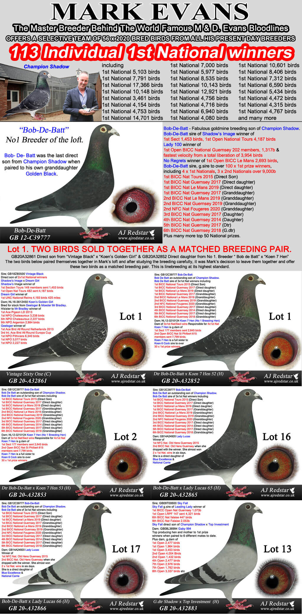 red star pigeon auctions near me