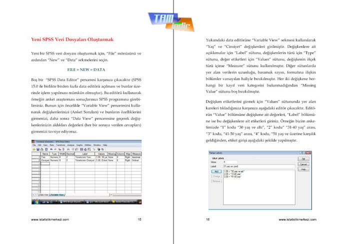 gezginler spss indir