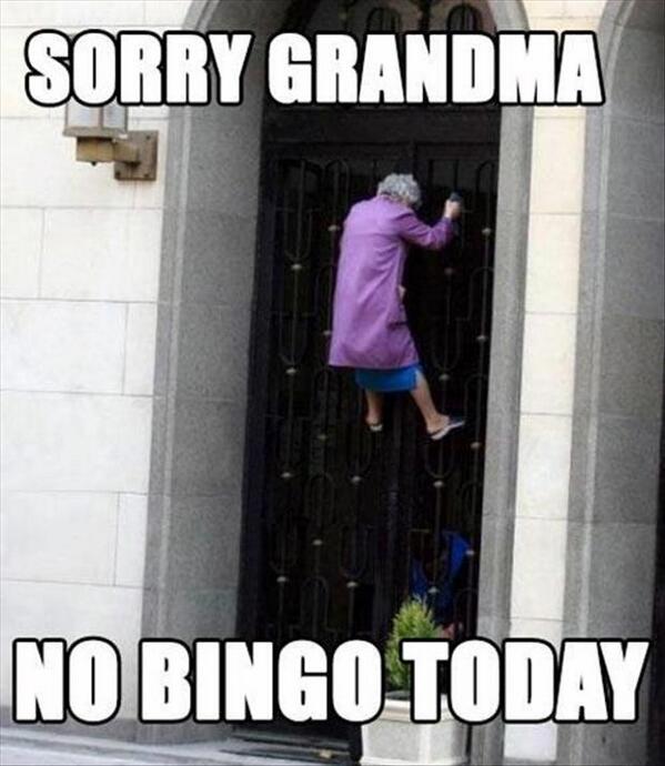 bingo memes funny