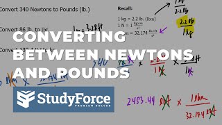 n to lbs conversion