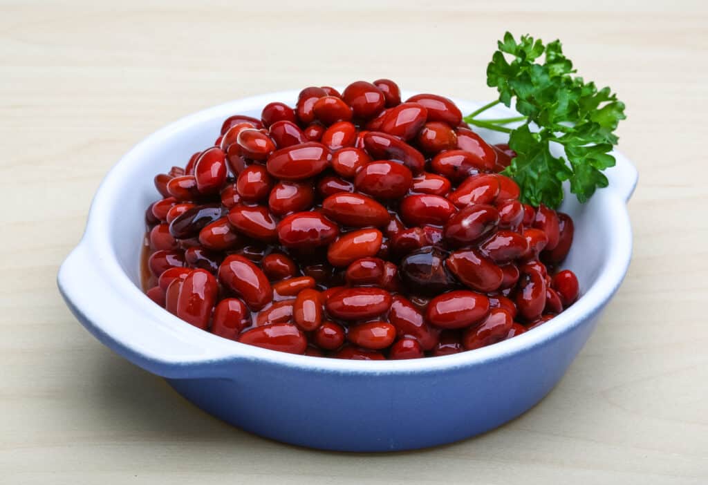 can dogs eat red kidney beans