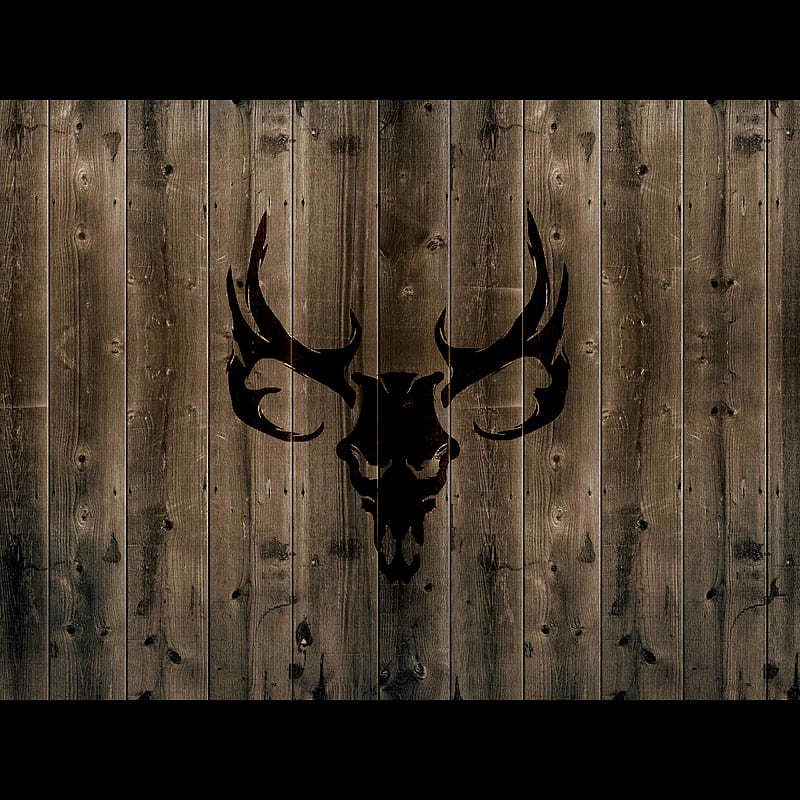 hunting wallpaper 4k