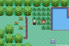 pokemon emerald route 102