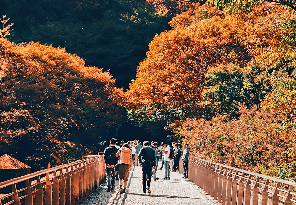 tokyo weather nov