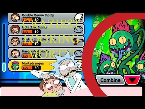 all morty combinations