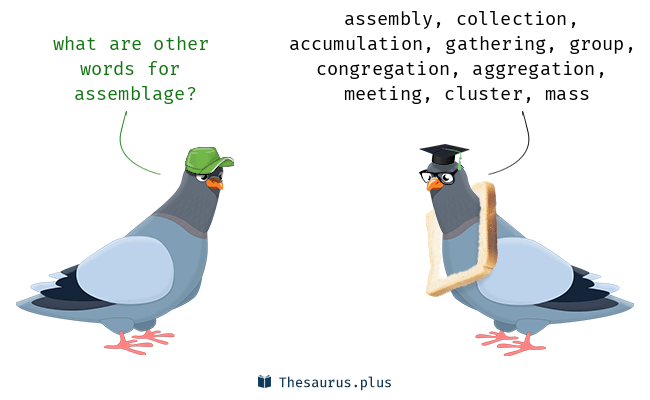 assemblage synonym