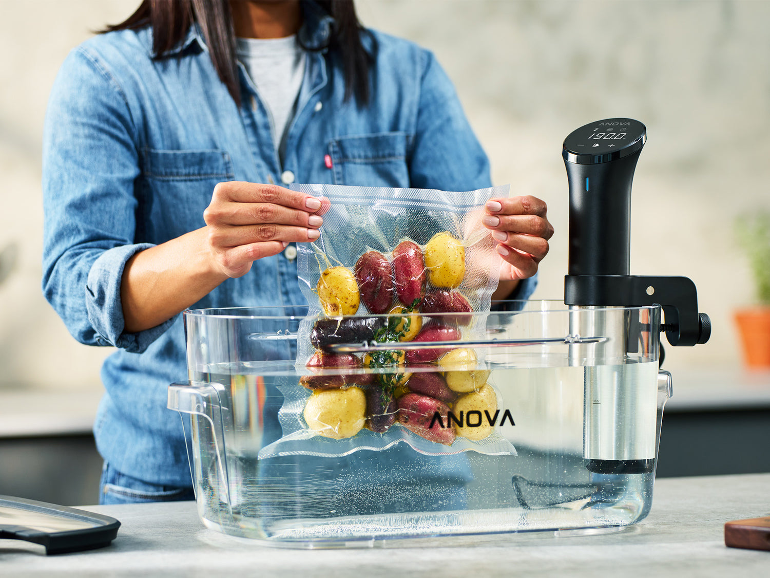 sous vide cooking machine