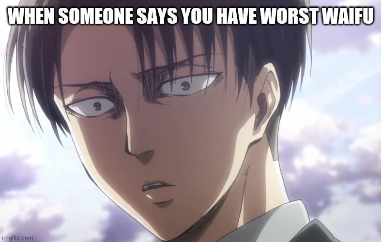 captain levi meme