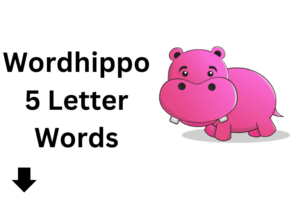 wordhippo 5