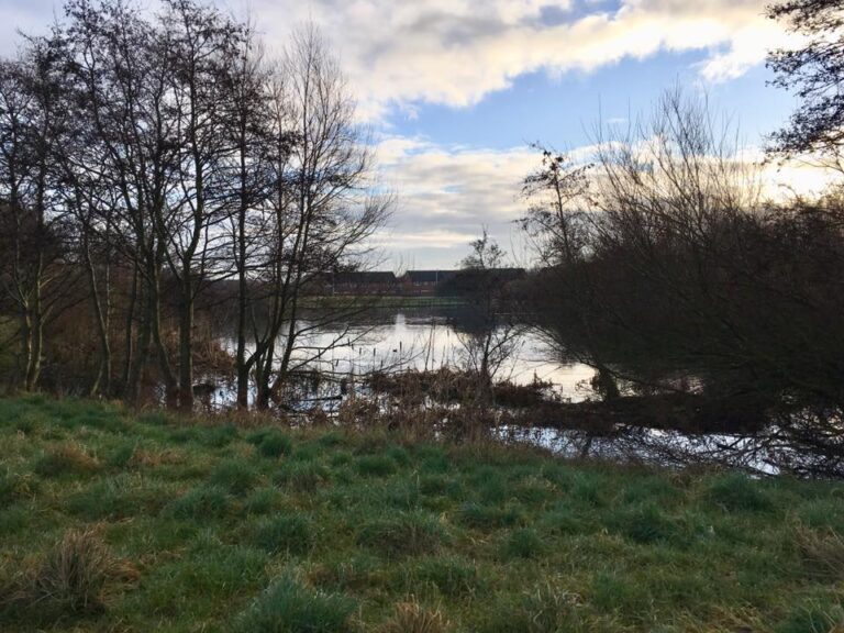 north blackpool pond trail