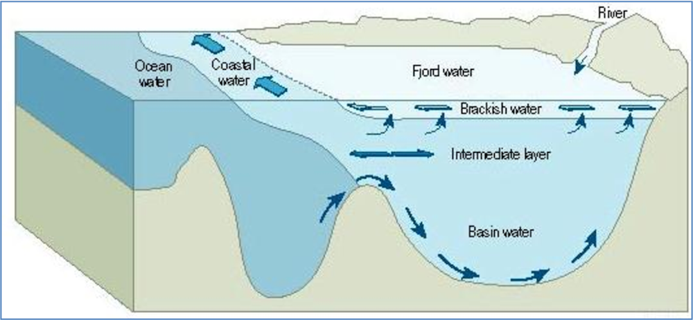 fjord diagram