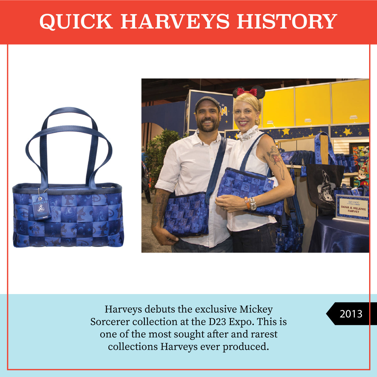 harveys bags