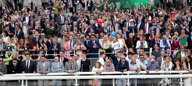 winners at haydock today