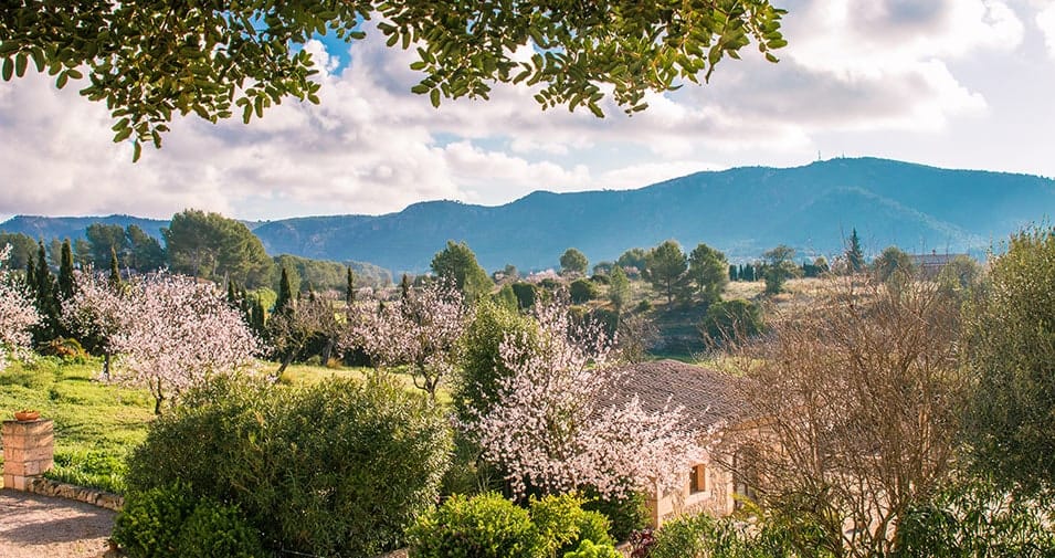 majorca weather february