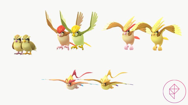 shiny pidgey vs normal