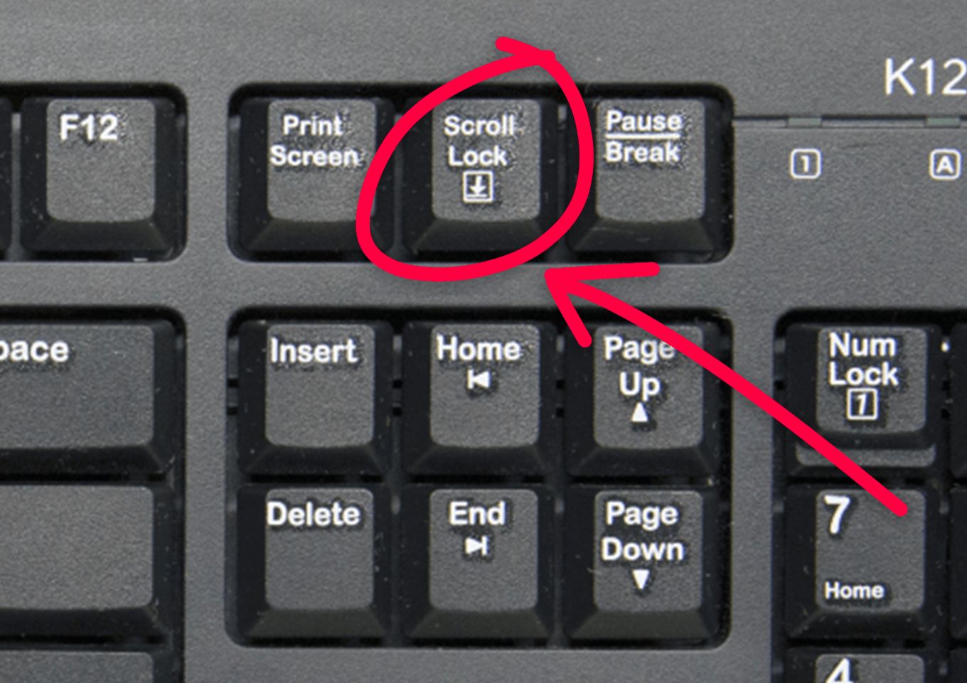 scroll lock laptop hp