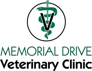 memorial drive vet griffin ga