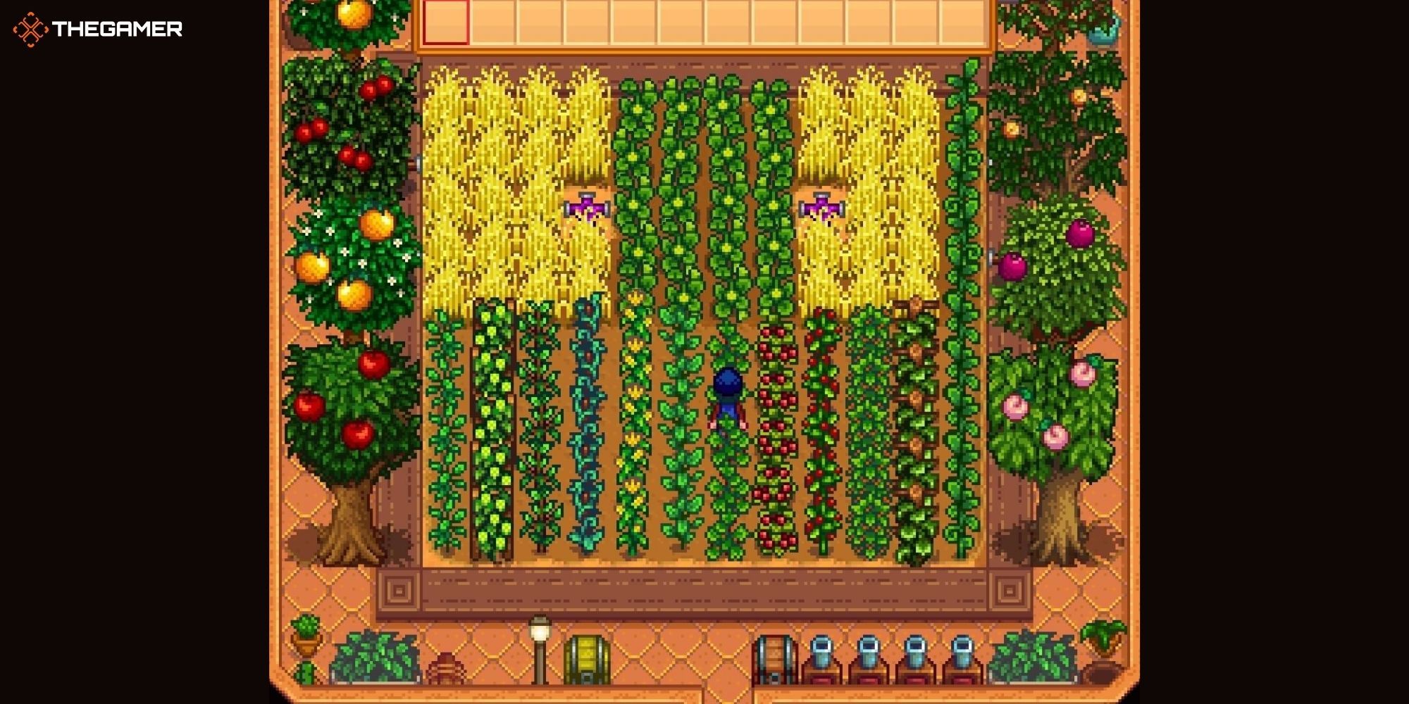 stardew greenhouse