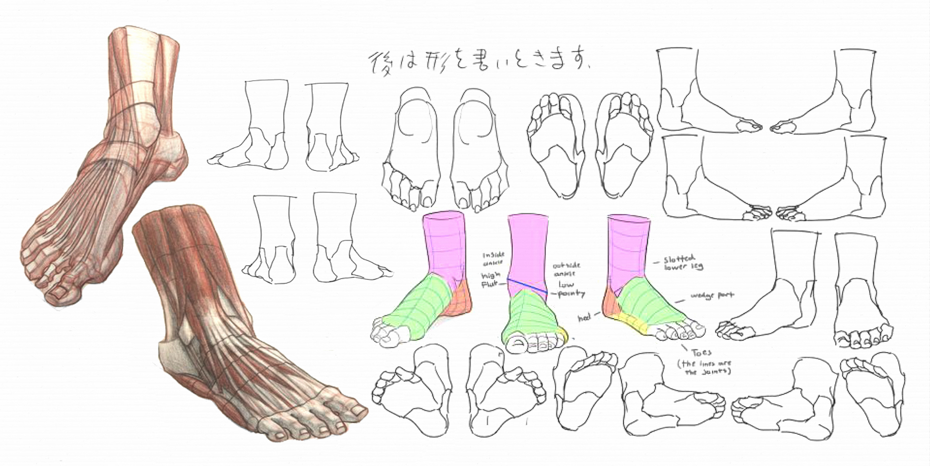 foot drawing reference