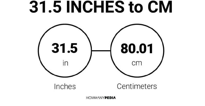 31.5 inches in cm