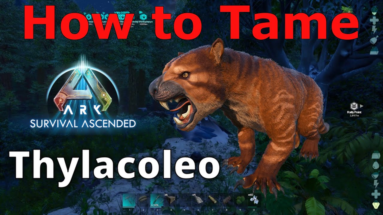 tame thylacoleo