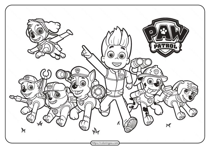 paw patrol coloring