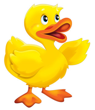 duck clipart