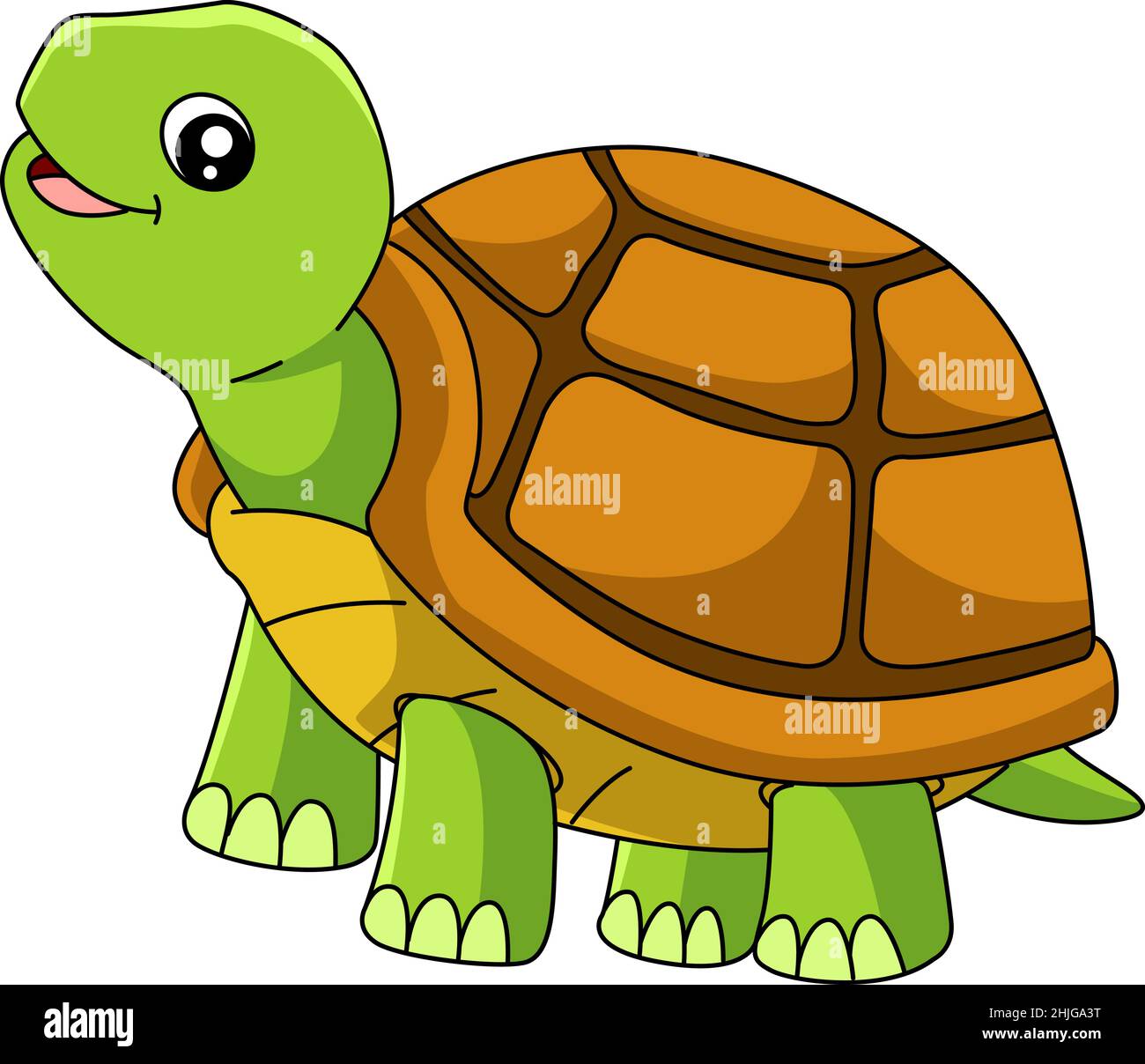 dibujo turtle