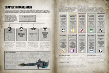 space marine chapter organization