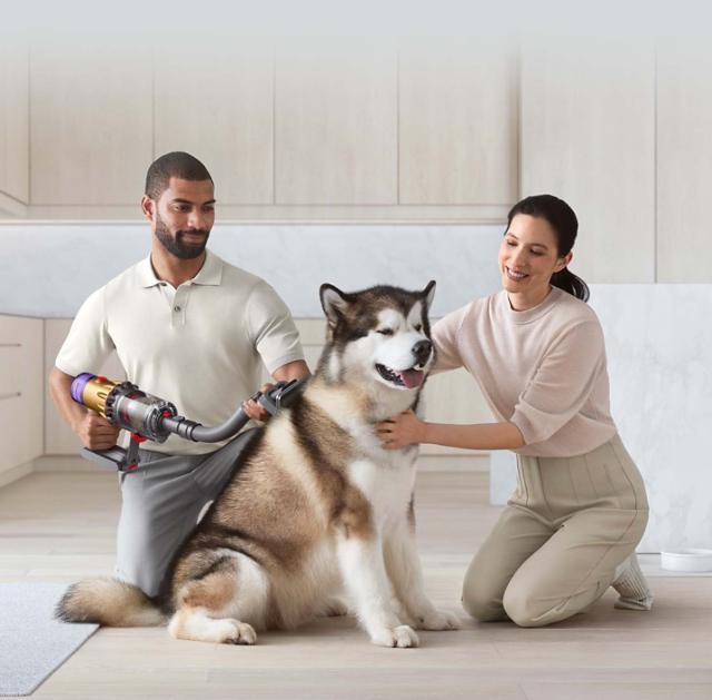 dyson pet grooming