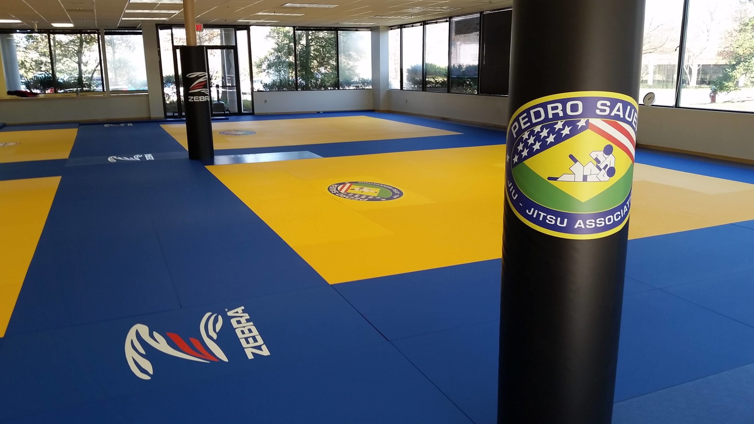 brazilian jiu jitsu mats