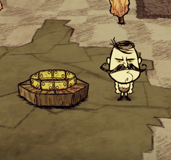 dont starve ring thing