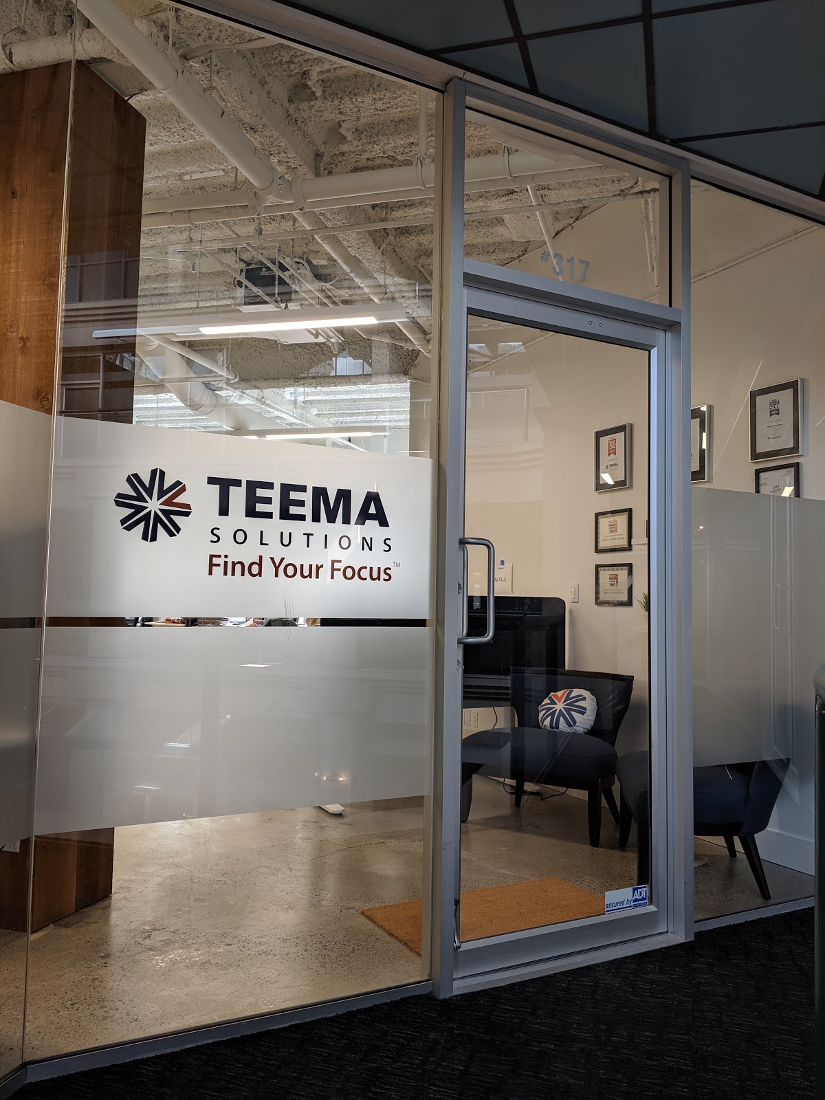 teema solutions group