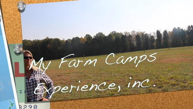 my farm camp ballantyne