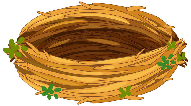 bird nest clipart