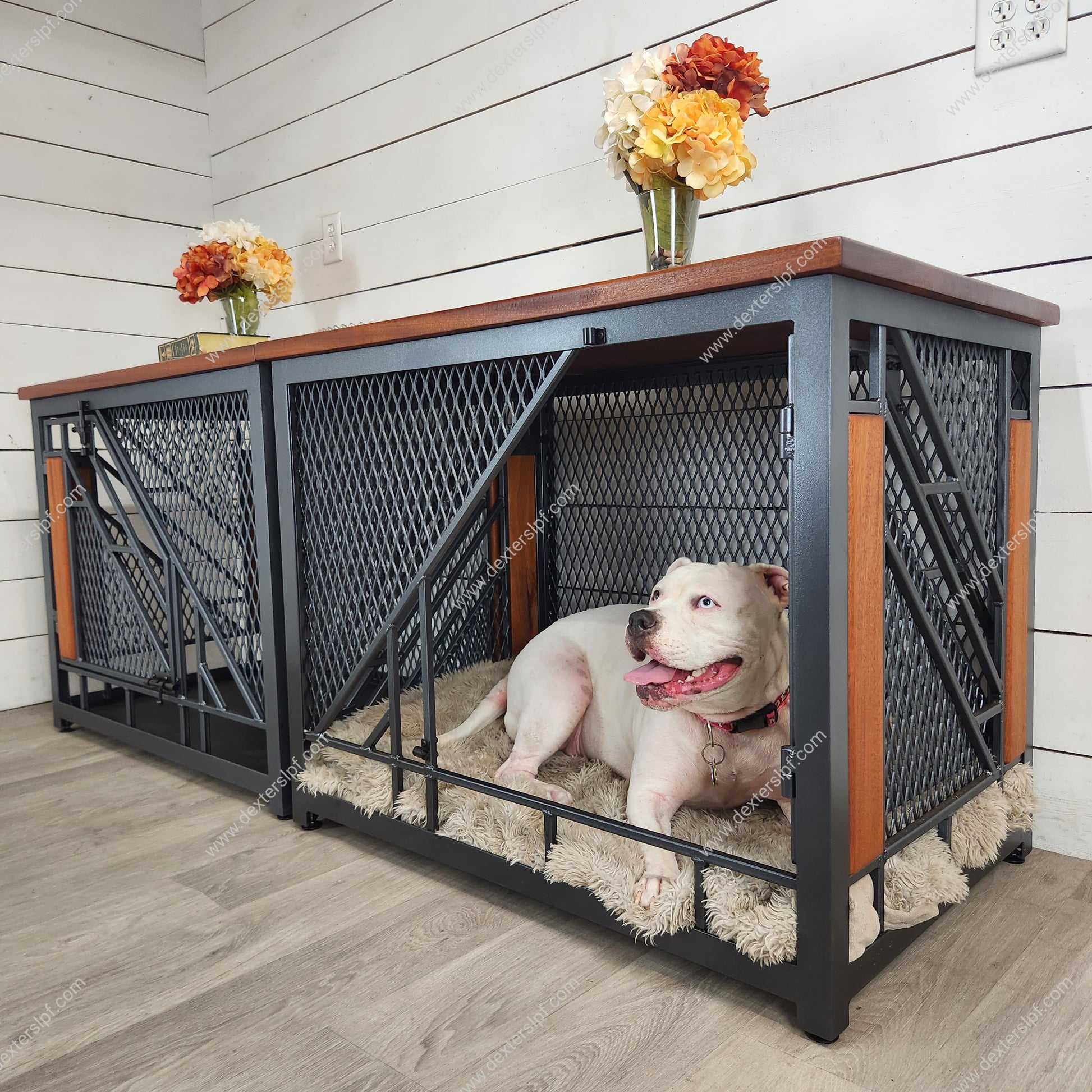 luxury dog cage