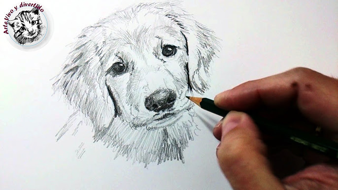 dibujo lapiz animal