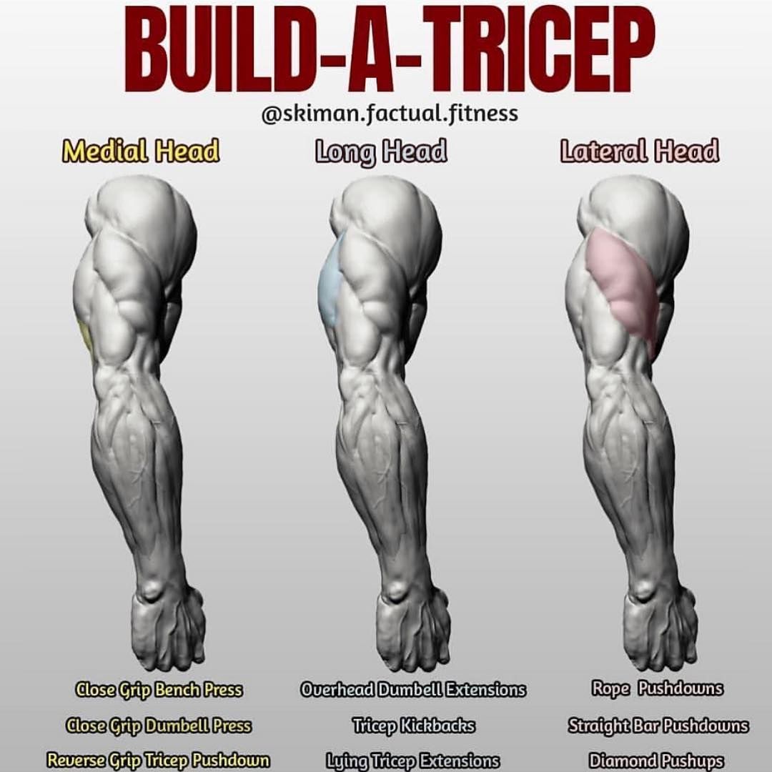 short head triceps exercises