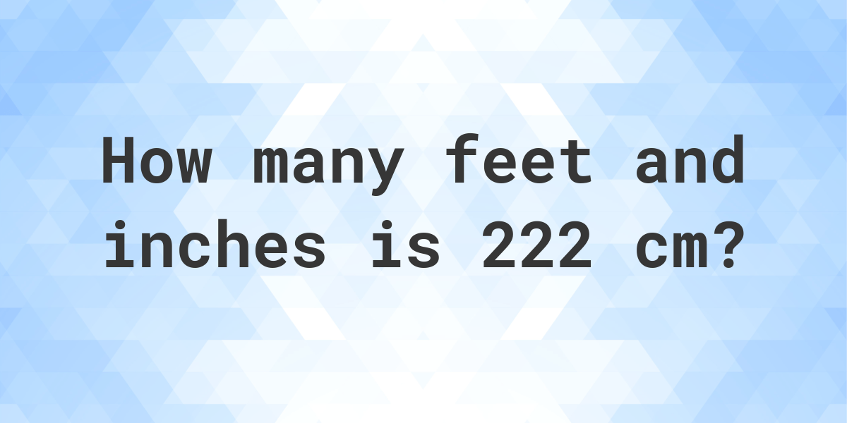 222 cm in feet