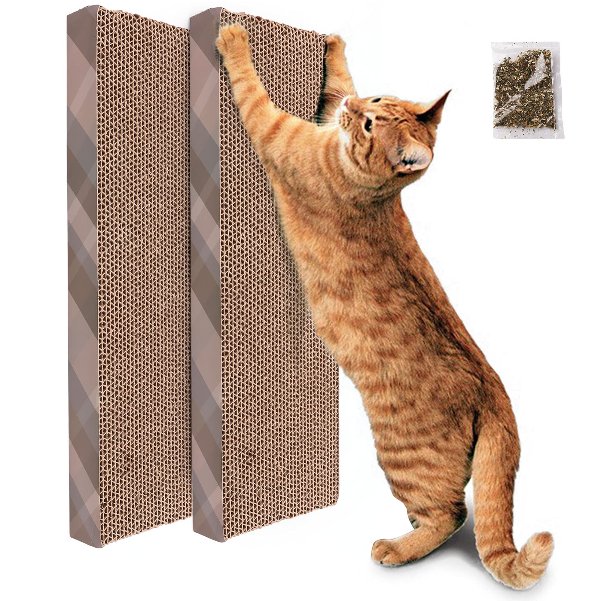 cat scratching boards