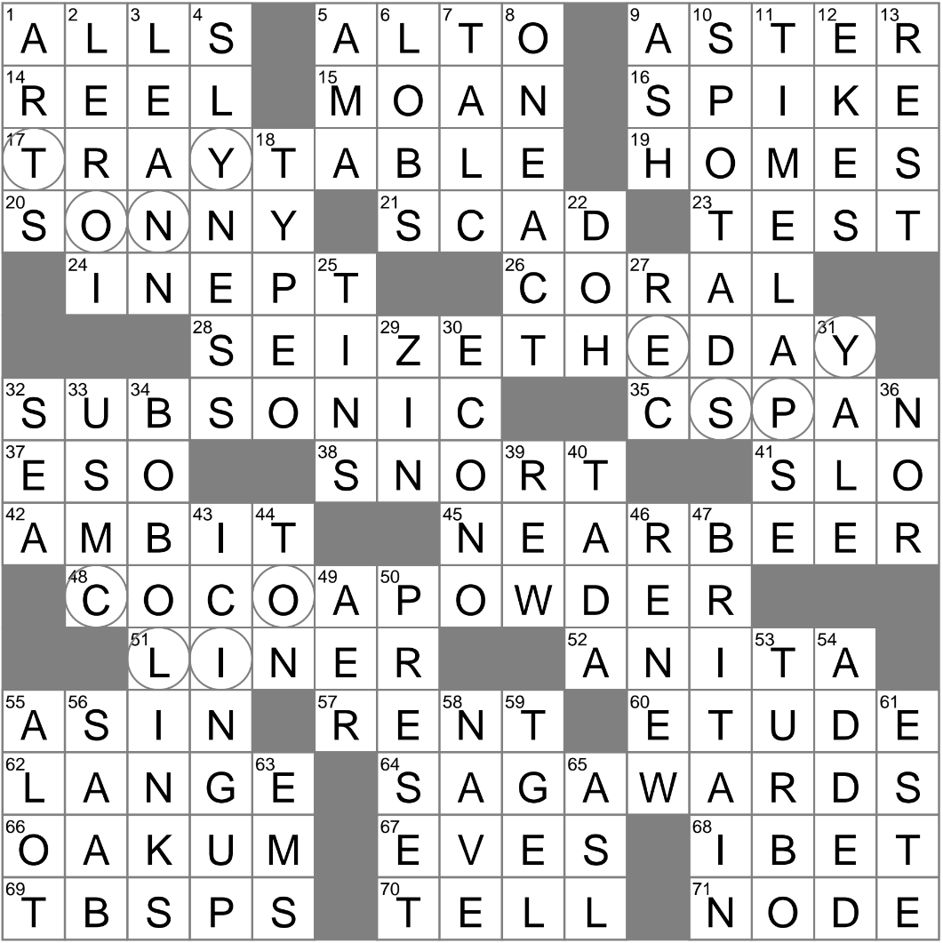 elongated tv set crossword clue