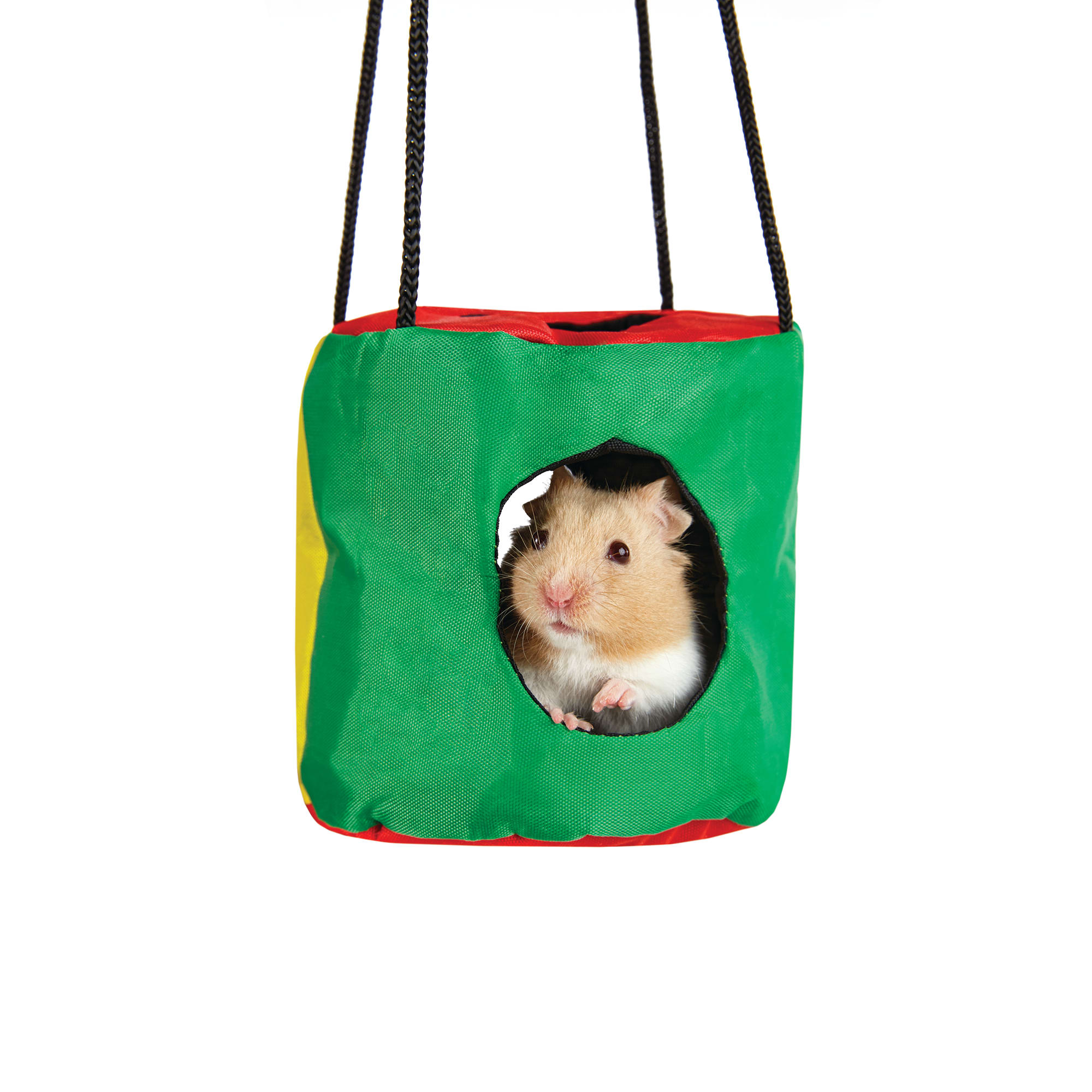 petco hamster