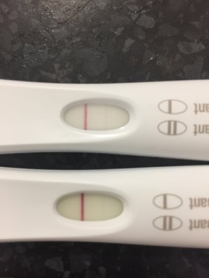 10 dpo